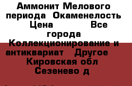 Аммонит Мелового периода. Окаменелость. › Цена ­ 2 800 - Все города Коллекционирование и антиквариат » Другое   . Кировская обл.,Сезенево д.